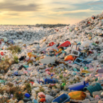 Inquinamento Futuro Plastica